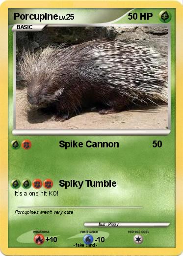 Pokemon Porcupine