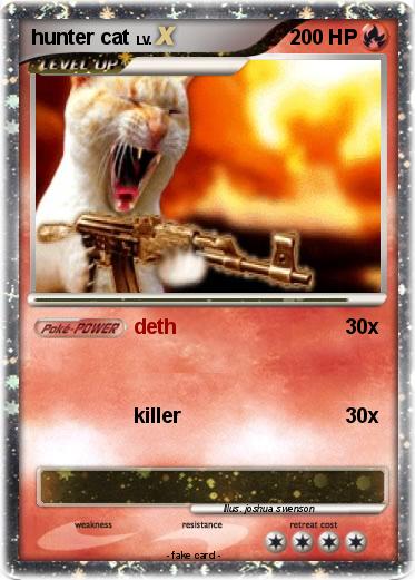 Pokemon hunter cat