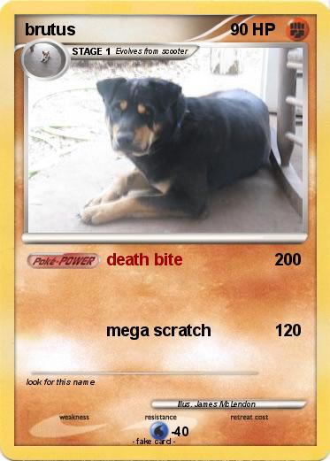 Pokemon brutus