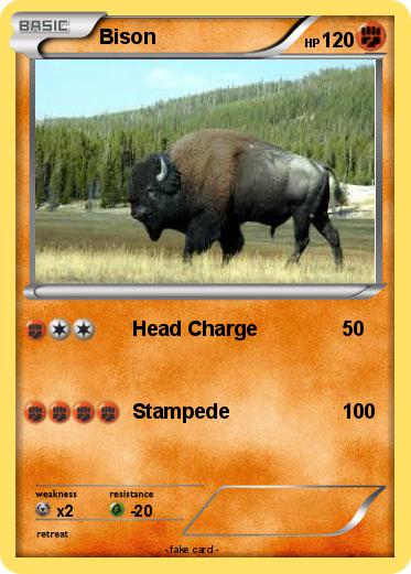 Pokemon Bison