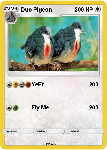 Pokemon Duo Pigeon