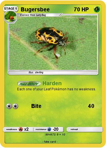 Pokemon Bugersbee