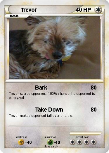 Pokemon Trevor