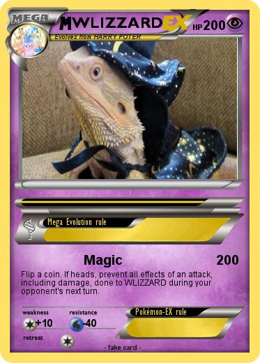 Pokemon WLIZZARD