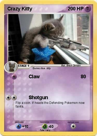Pokemon Crazy Kitty