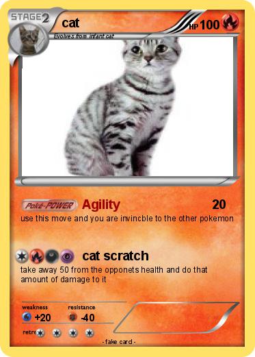 Pokemon cat
