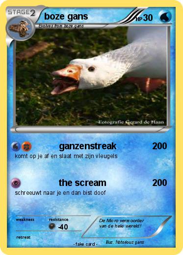 Pokemon boze gans
