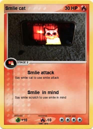 Pokemon Smlie cat