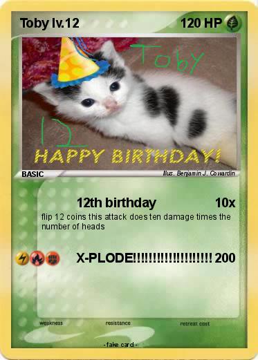 Pokemon Toby lv.12