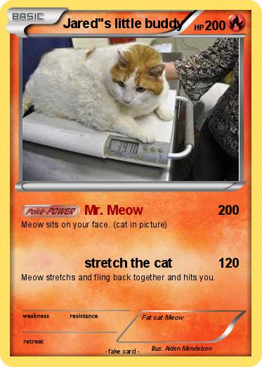 Pokemon Jared"s little buddy