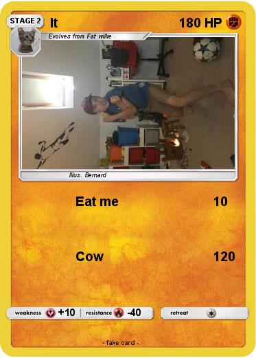 Pokemon It