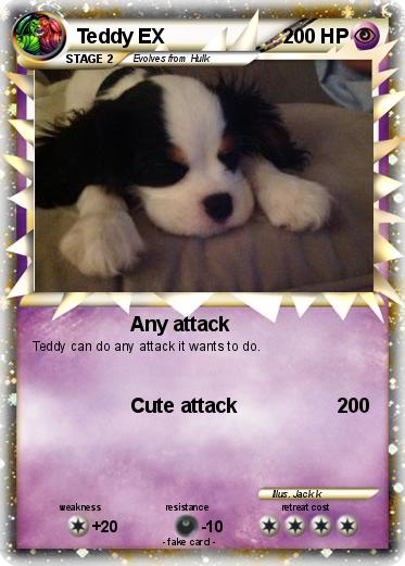Pokemon Teddy EX