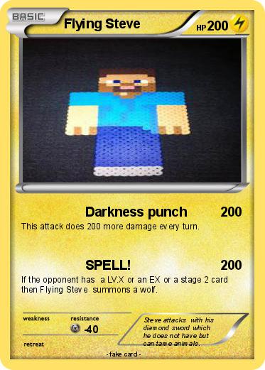 Pokemon Flying Steve