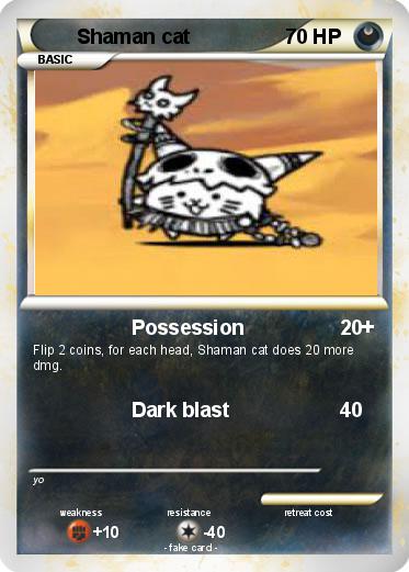 Pokemon Shaman cat