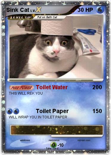 Pokemon Sink Cat