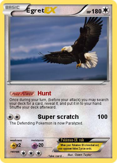 Pokemon Egret