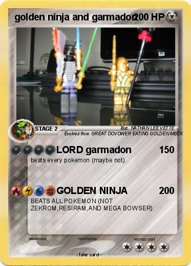 Pokemon golden ninja and garmadon