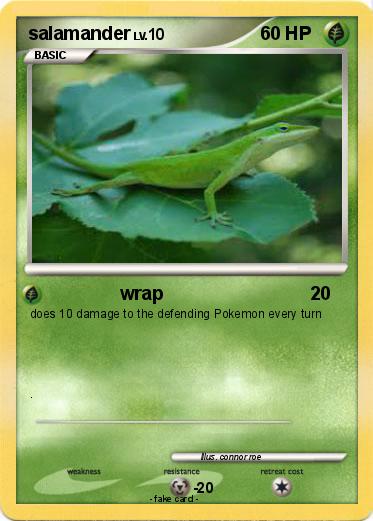 Pokemon salamander