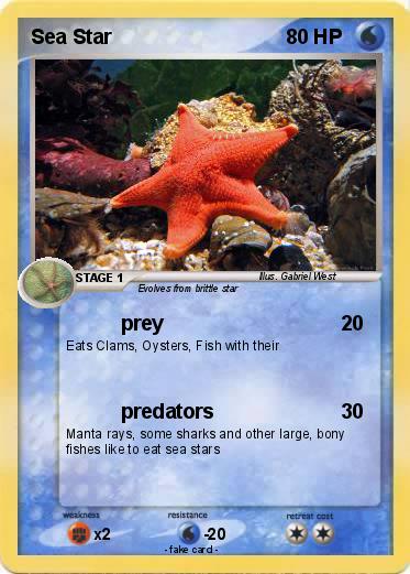 Pokemon Sea Star
