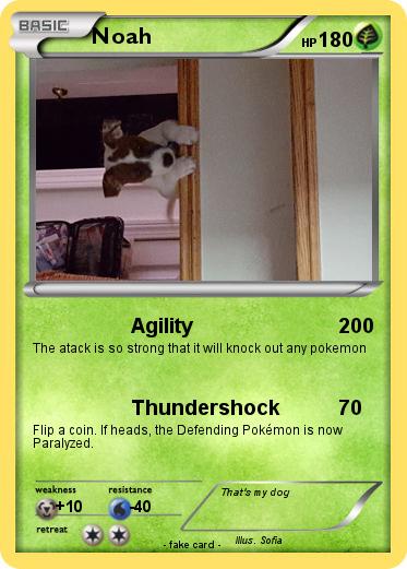 Pokemon Noah
