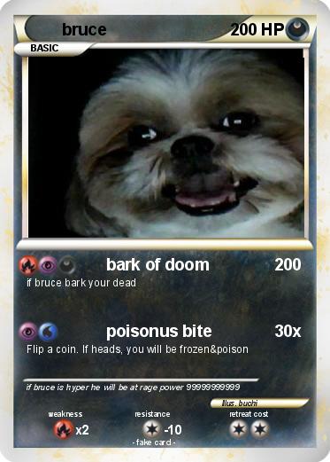 Pokemon bruce