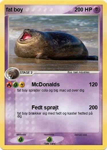 Pokemon fat boy