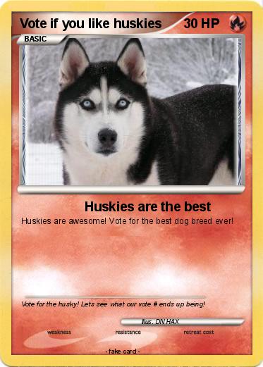 Pokemon Vote if you like huskies