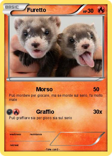 Pokemon Furetto