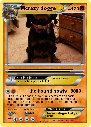 Pokemon crazy dogge Pokemon crazy dogge