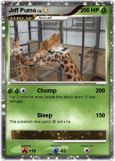 Pokemon Jeff Puma