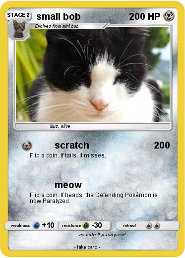 Pokemon small bob