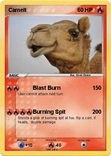 Pokemon Camelt