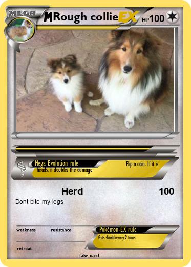 Pokemon Rough collie