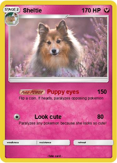 Pokemon Sheltie