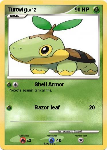 Pokemon Turtwig