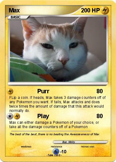 Pokemon Max