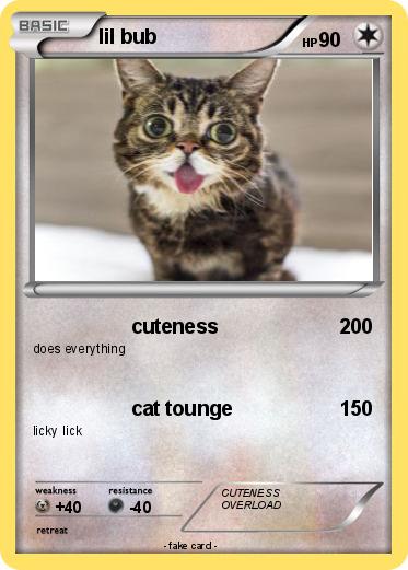 Pokemon lil bub