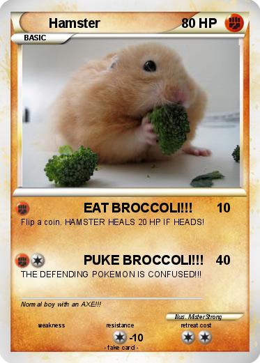 Pokemon Hamster