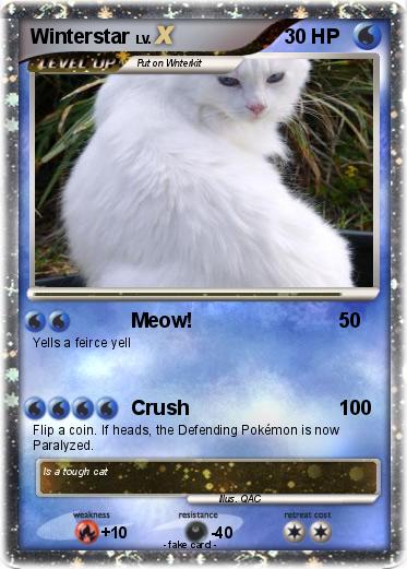 Pokemon Winterstar