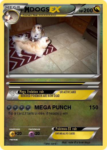 Pokemon DOGS