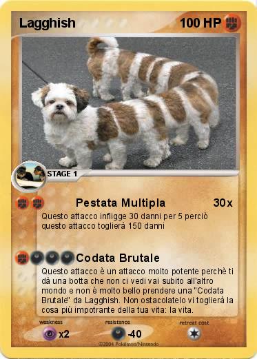 Pokemon Lagghish