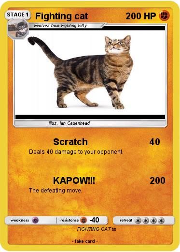 Pokemon Fighting cat