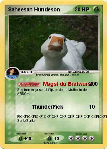 Pokemon Saheesan Hundeson