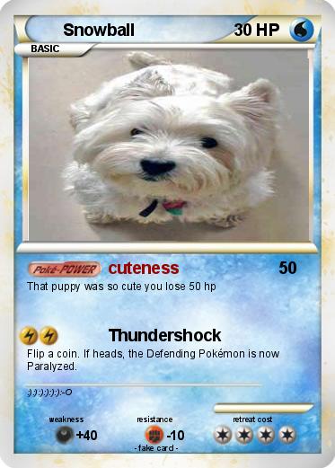 Pokemon Snowball