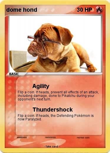 Pokemon dome hond