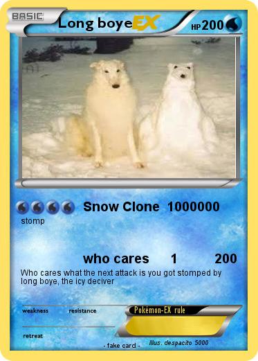 Pokemon Long boye