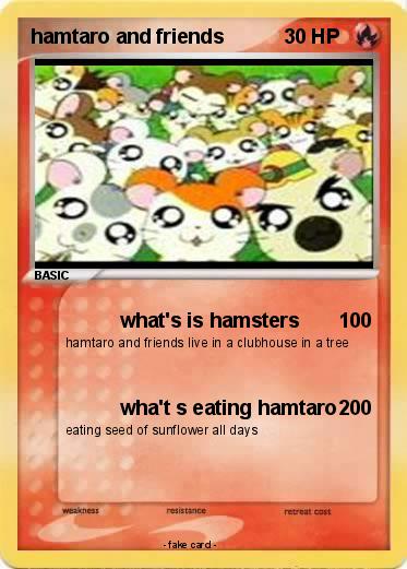 Pokemon hamtaro and friends