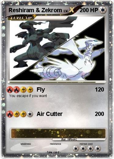 Pokemon Reshiram & Zekrom