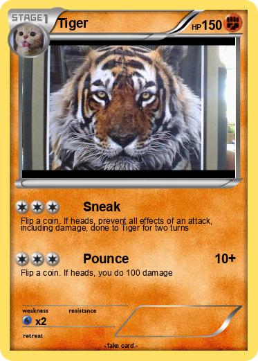 Pokemon Tiger