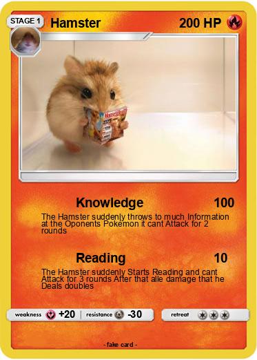 Pokemon Hamster